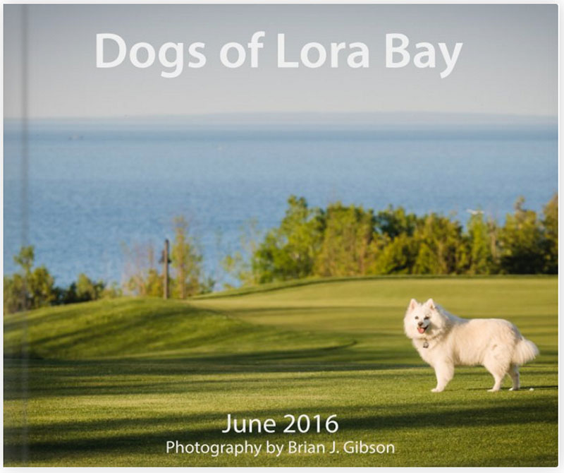 Dogs of Lora Bay